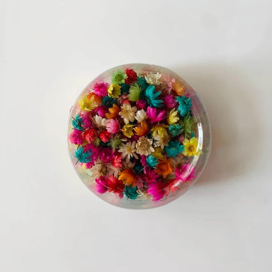 Dry Flower Box : Multi