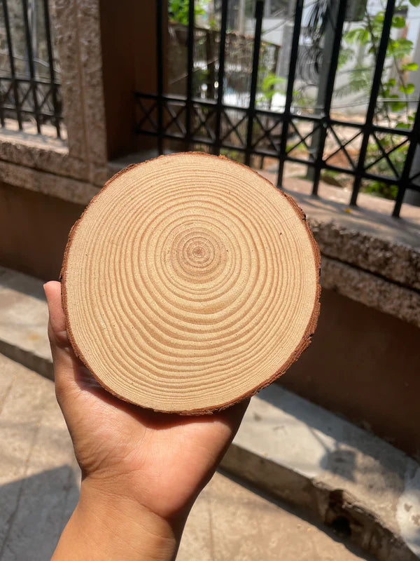 Natural Wooden Slice