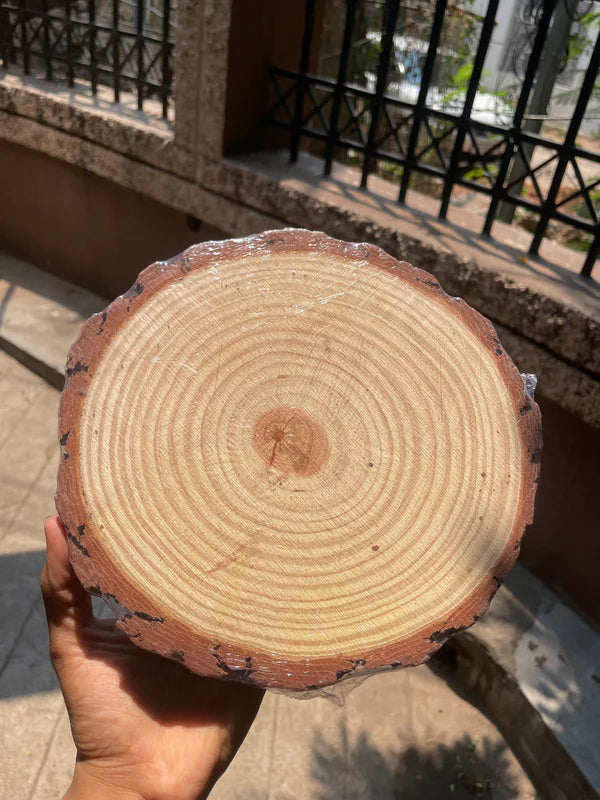 Natural Wooden Slice