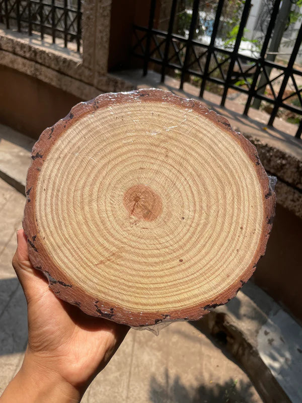 Natural Wooden Slice