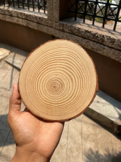 Natural Wooden Slice