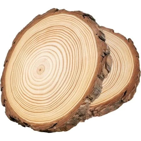 Natural Wooden Slice